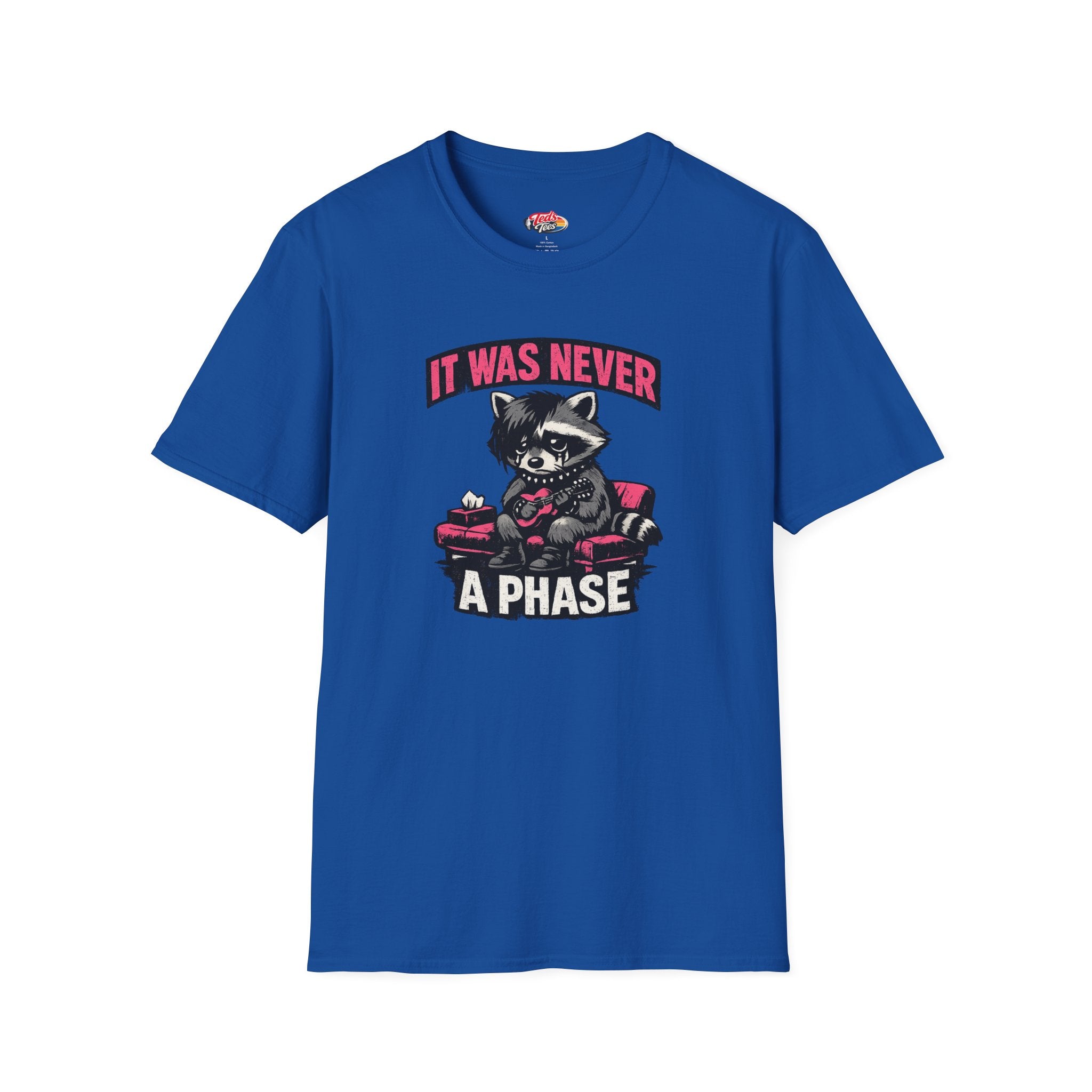 Raccoon 'It Was Never a Phase' T-Shirt